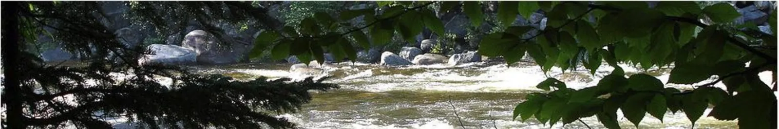 SwiftRiver homepage.JPG