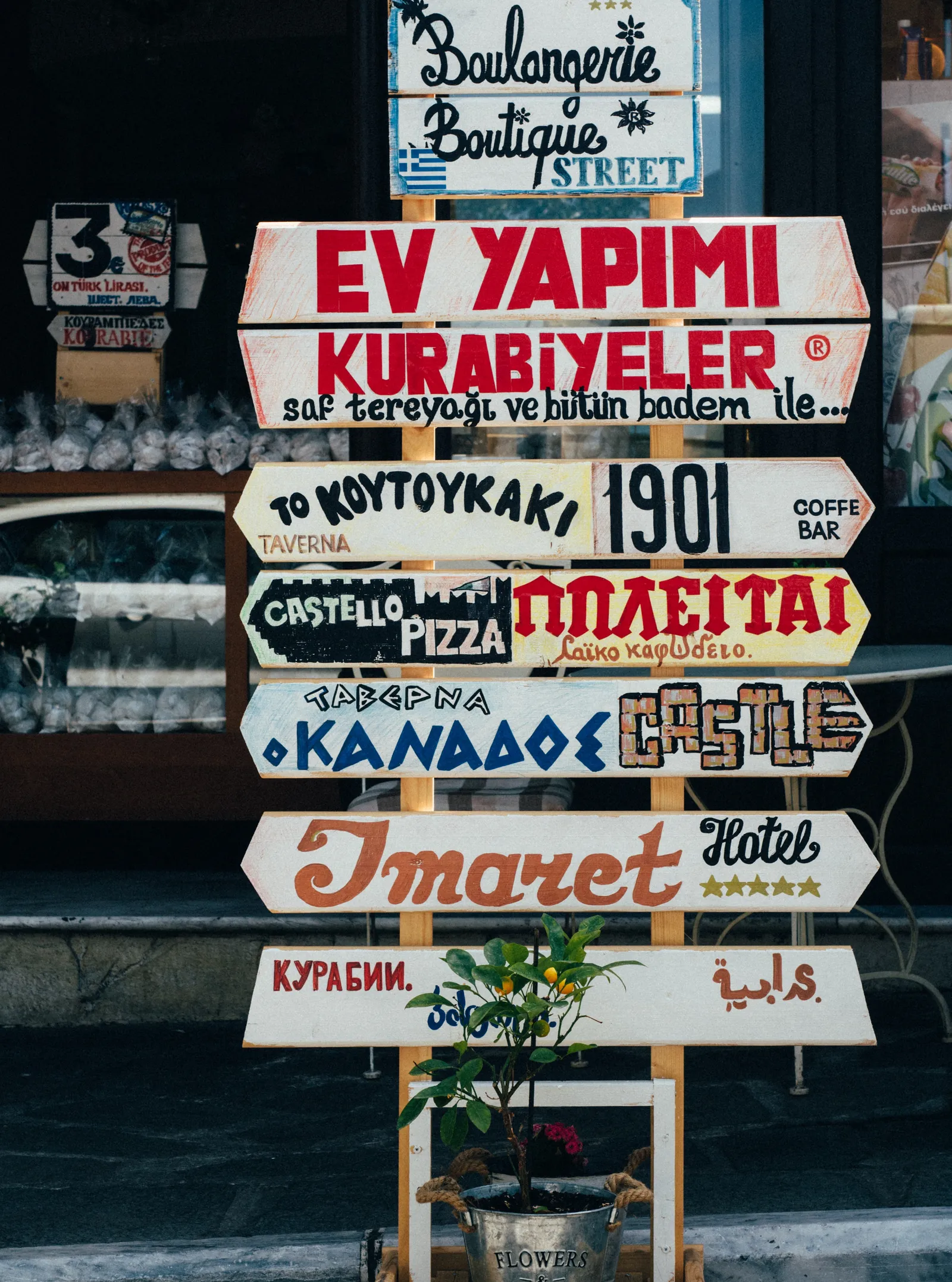 blog 21 - Languages .jpg