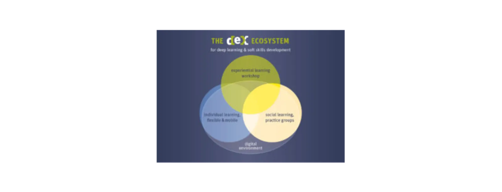 DEX ecosystem E with canvas.png