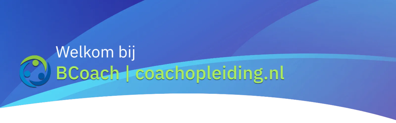 BG Bcoach.png