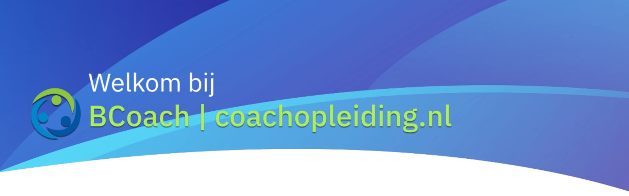 BG Bcoach.png