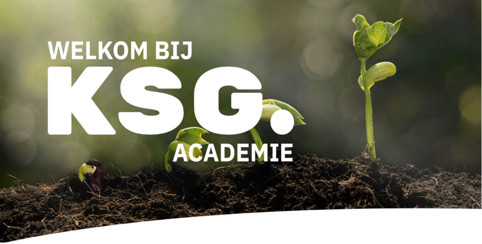 ksg home splash plants2.png