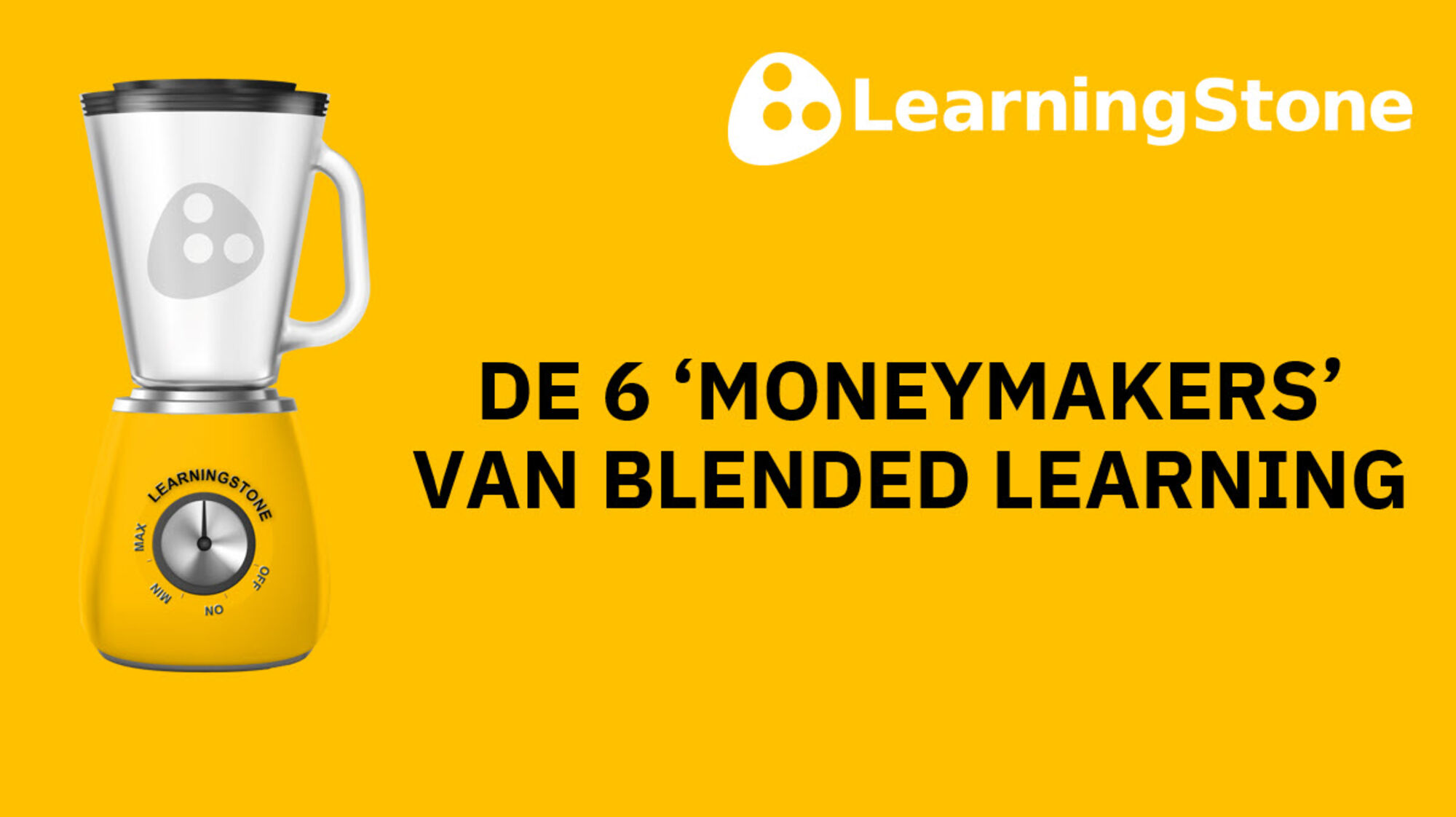 6 moneymakers van Blended Learning.jpg