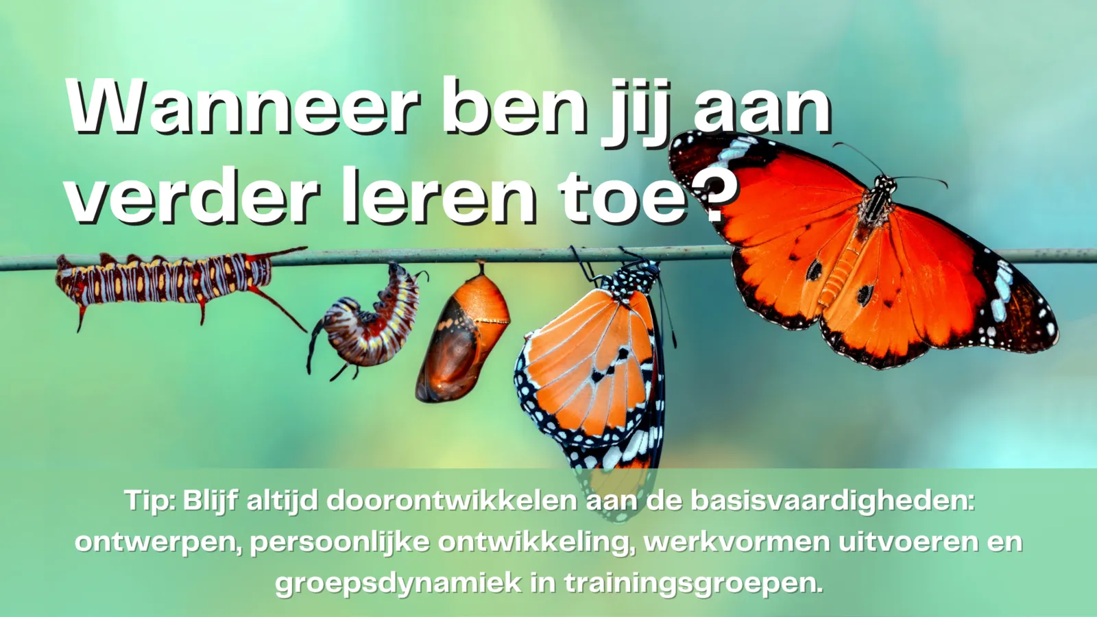 wanneer ben jij aan verder leren toe?.png