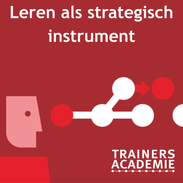 leren als strategisch instrument