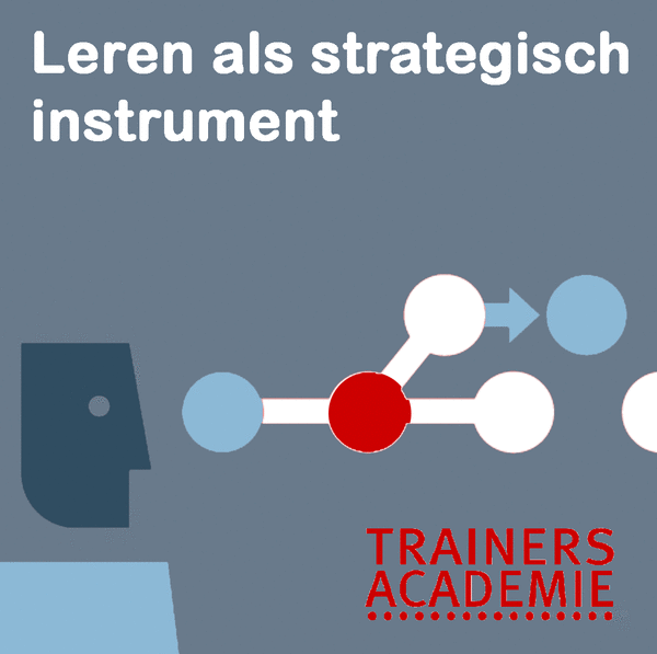Leren-als-strategie