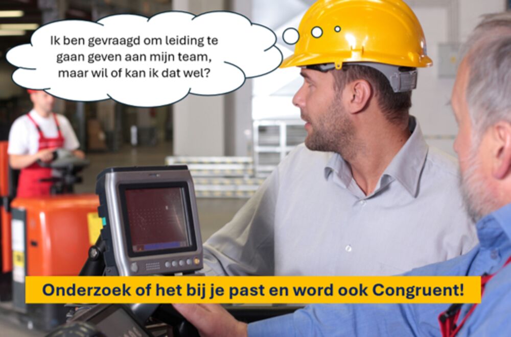 Ik ben gevraagd om leiding te gaan geven aan mijn team