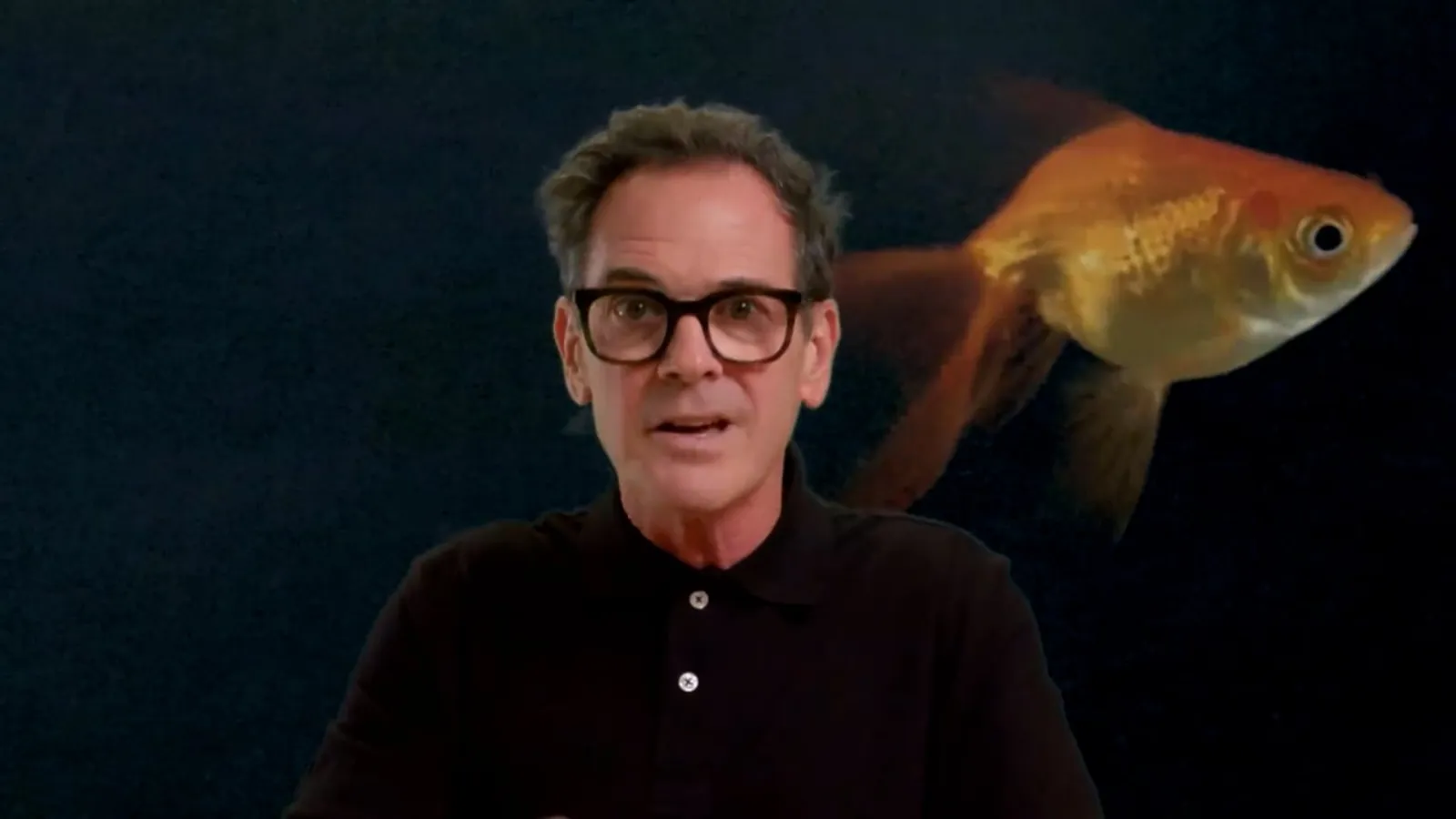 Video & goldfish